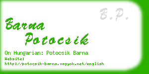 barna potocsik business card